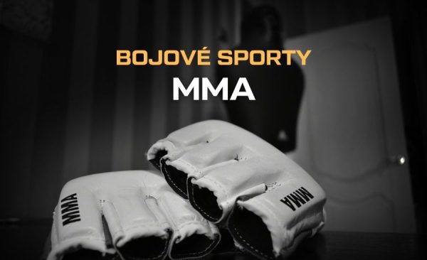 Co je to MMA, UFC, Bellator, Oktagon, XFN, TFA a další organizace. Kdo je nejlepší zápasník?