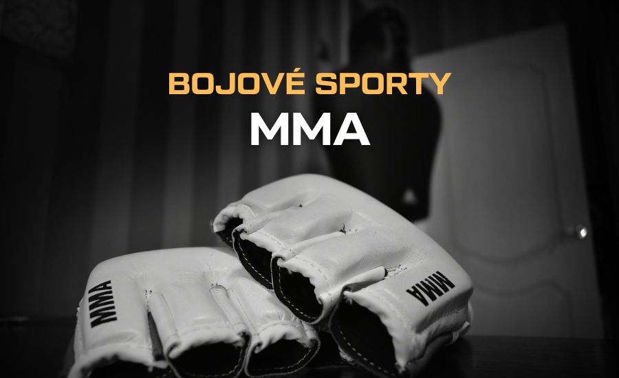 Co je to MMA, UFC, Bellator, Oktagon, XFN, TFA a další organizace. Kdo je nejlepší zápasník? 1 Co je to MMA