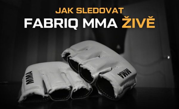 Kde sledovat Fabriq MMA live – PPV online, LIVE stream a záznam