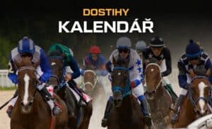 Dostihy 2025 - kalendář, výsledky, live přenos