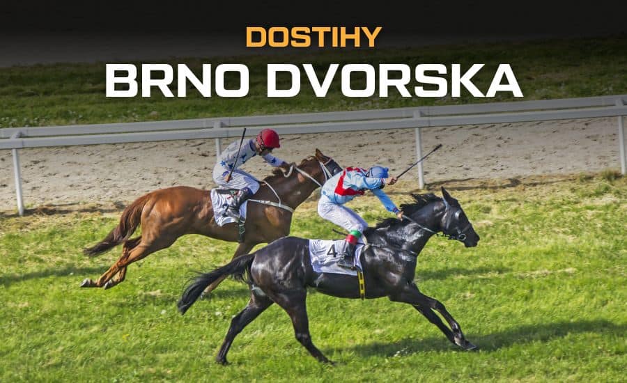Dostihy Brno Dvorska 2025