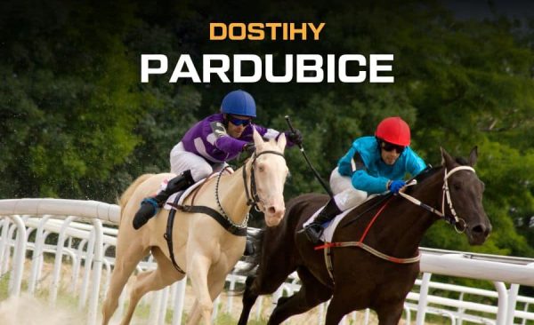 Dostihy Pardubice 2025 – program závodů, live stream zdarma