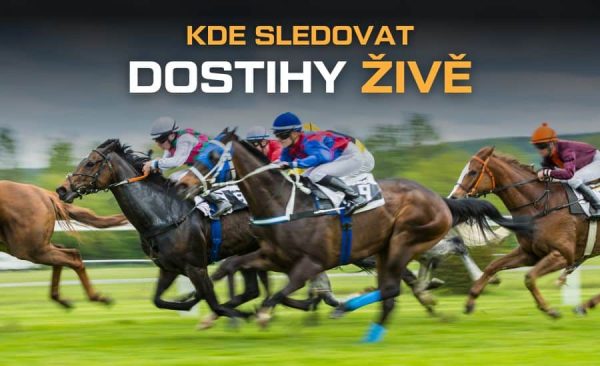 Kde sledovat dostihy živě – live v TV, online přenos, live stream zdarma