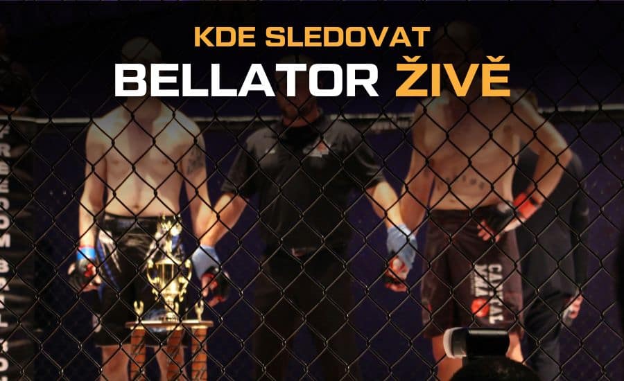 Kde sledovat Bellator živě