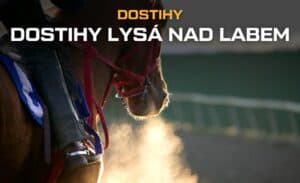 Dostihy Lysá nad Labem 2025