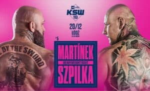 KSW 113